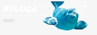 Beluga<br />lotte World Aquarium, Impression Beyond - Underwater #7801659