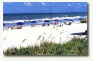 300 Feet To Ocean, Sand & Dunes - Atlantic Beach Florida #7802182