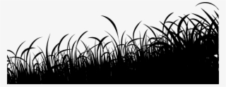Grass Silhouette Grass Silhouette - Grass #7802716