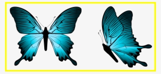 Best Blue Butterfly Png Clipart Image Butterflies Dragonflies - Transparent Blue Butterfly Png #7804313