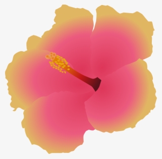 Big Image - Hawaiian Hibiscus #7805425