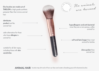 Try Watching This Video On Www - Makeup Brushes #7805585