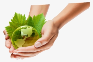 Car Wash Eco Friendly - Car Clean Ecologic Png #7805708