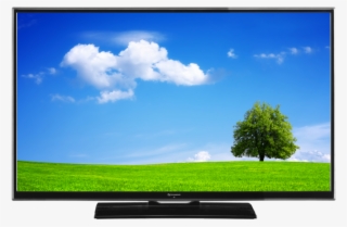 Environment Background #7805775