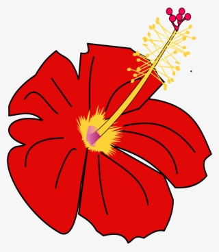 Open - Hawaiian Hibiscus #7805810