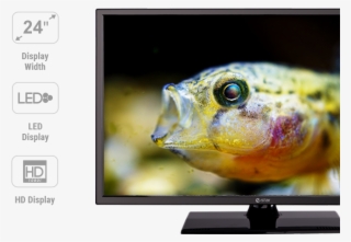 24d1t1 Ikonos Ir Dalis Tv - Photograph #7806503