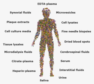 Biomarker List - Illustration #7807866