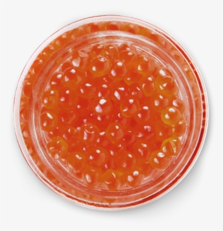 Smoked Salmon Caviar - Circle #7808015