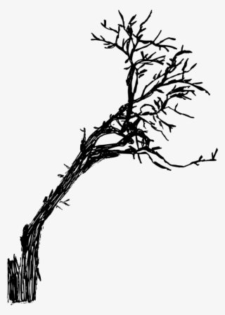 730 X 1024 3 - Twig #7809584