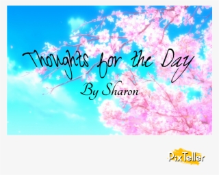 Customize & Download It For Free - Anime Sakura Tree Background #7810568