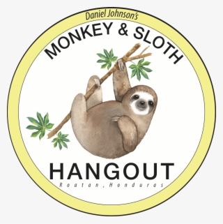 Palmas Beach - Daniel Johnson's Monkey And Sloth Hangout Cost #7811254