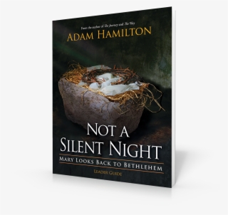 View Larger - Flyer #7811852