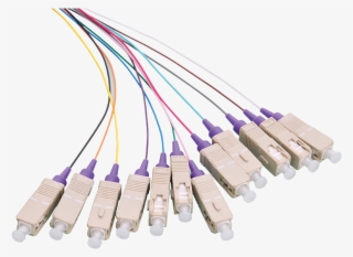 Close - Networking Cables #7813316