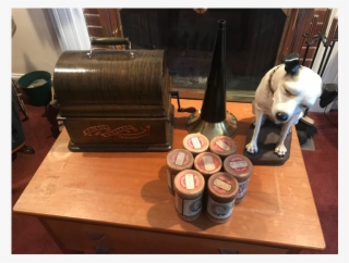 Companion Dog #7813427