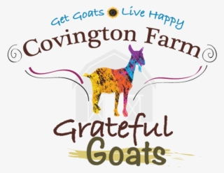 Goat #7813680