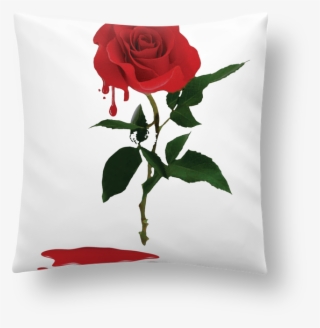 Garden Roses #7814318