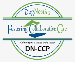 Simply Purchase The Certification Program, Take The - Graphic Design #7816791