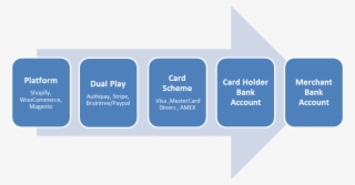 Scenario - Mentoring Process #7816883
