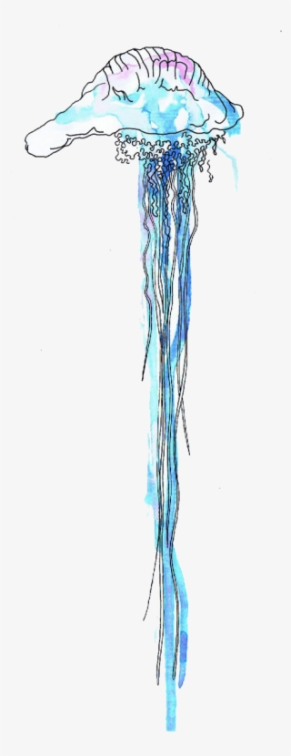 Free Png Download Blue Bottle Jellyfish Free Desktop - Sketch #7817198
