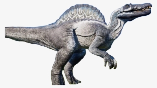 Spinosaurus Sticker - Velociraptor #7817975