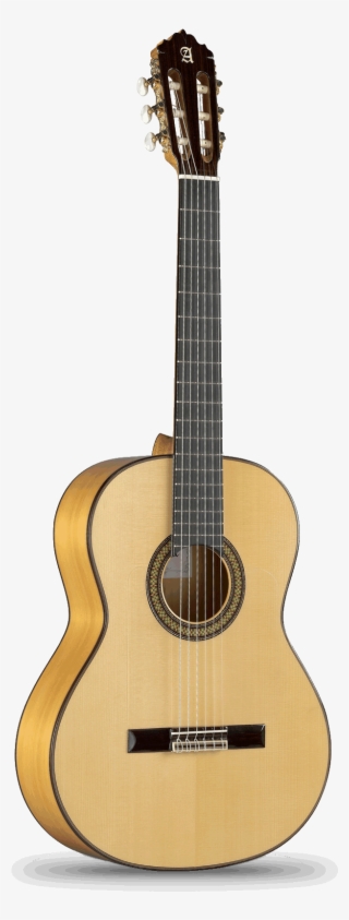 Guitarras Alhambra - Conservatory - - Martin Co 12 String Guitar #7818063