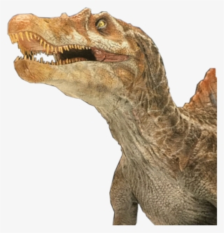 Spinosaurus Sticker - Velociraptor #7818281