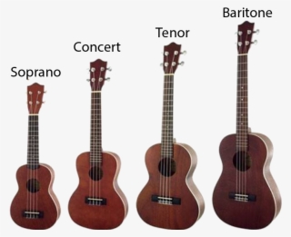 What Are The Different Types Of Ukulele - Soprano Vs Concert Ukulele #7818428