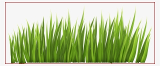 Stunning Fence With Grass And Flowers Png Clipar Image - Grass Clipart #7819443