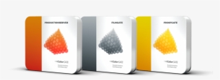 Ricoh Expands Gamut With Colorgate - Papaya #7819535