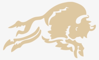 Skc Apparel Guidelines Non Institutional Use Salish #7821275