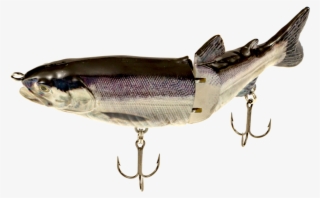 More Views - Kokanee Swimbait #7821713