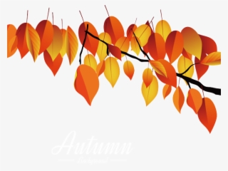 Autumn Leaves Clipart Dead Leaf - Maple #7821846