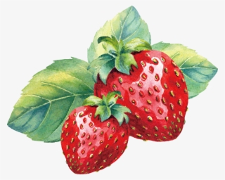 Strawberry Fruit Clip Art - Water Color Strawberry #7823027