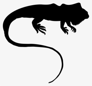 Png File Svg - Iguana Silhueta #7823033