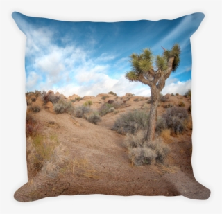 Image Of Joshua Tree, Ca - Cushion #7823850