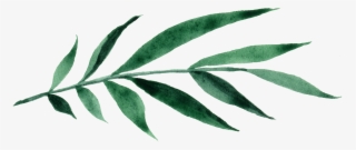 An Engagement Session In Joshua Tree, California, Was - Russian Olive #7824164