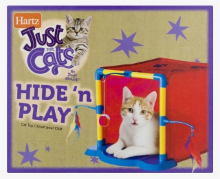 Domestic Short-haired Cat #7826365