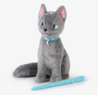 Meet Mystery Mao The Bewitched Mind Reading Cat - Mistery Mao #7826513