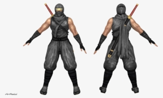 Ryu Hayabusa, Doa, Ninjas, Pirates, Ninja - Ryu Hayabusa 3d Model #7826562