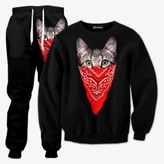 Gangsta Cat Tracksuit - Track Suit #7828594