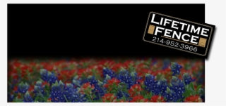Fence Companies - Texas Wild Flowers #7831931