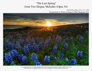 "the Last Spring" From Two Elegiac Melodies For Winds - Field Of Flowers #7832004