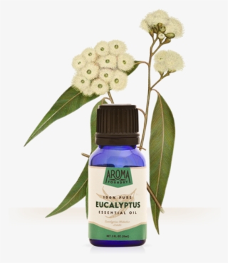 Essential Oil Aroma Foundry - Cosmetics #7834779