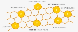 Honey Health Benefits Infographic #7835437