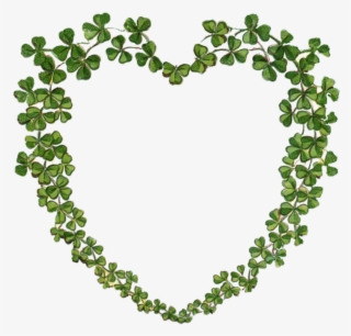 Look In The Nook Graphics And Images - Shamrock Heart #7836969