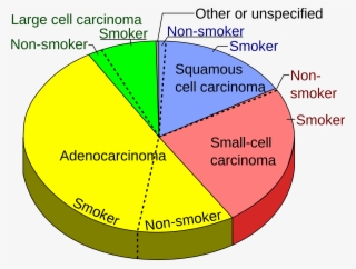 Lung Cancer Pie Chart #7837158