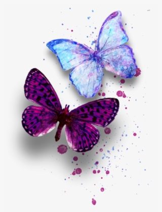 Image Du Blog Zezete2 - Butterfly #7837536