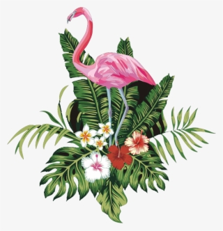 Pink Flamingo Bird Free Transparent Image Hd Clipart - Flamingo Png #7837961