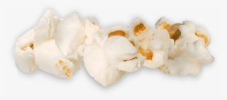 Nutritional Information - Tremella #7838145