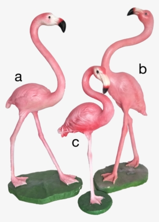 Pink Flamingo - Greater Flamingo #7838278
